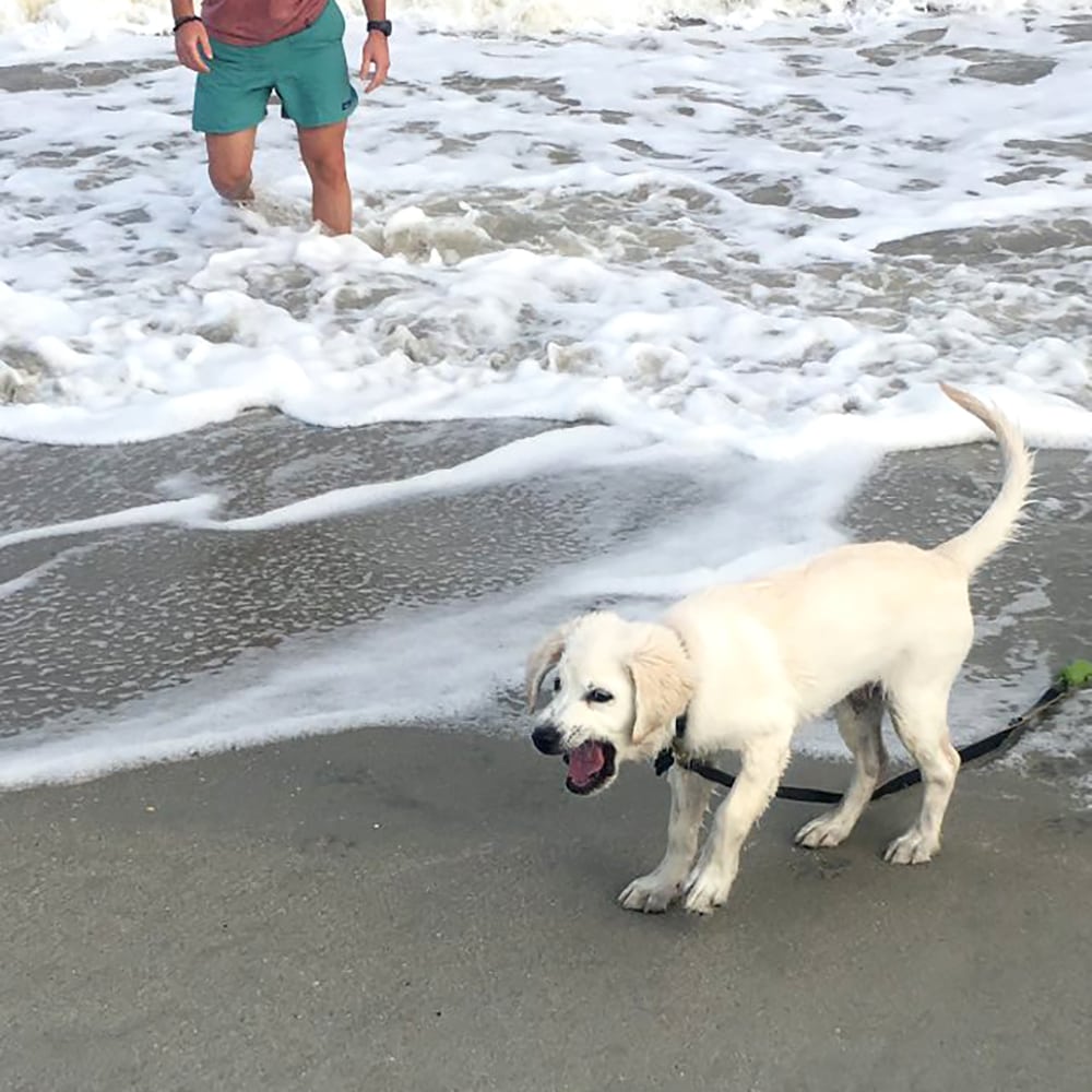 35 Hilarious Beach Fails That Got Us Good